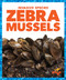 Zebra Mussels - 9781636908052 by Alicia Z. Klepeis, 9781636908052