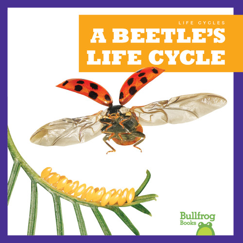 A Beetle's Life Cycle - 9781636908205 by Jamie Rice, 9781636908205