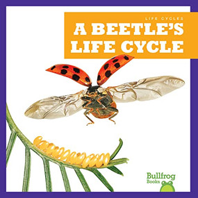 A Beetle's Life Cycle - 9781636908205 by Jamie Rice, 9781636908205