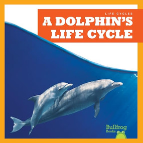 A Dolphin's Life Cycle - 9781636908328 by Jamie Rice, 9781636908328