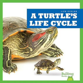 A Turtle's Life Cycle - 9781636908410 by Jamie Rice, 9781636908410