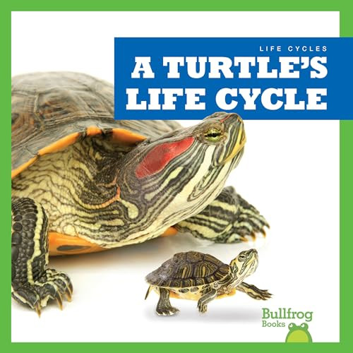A Turtle's Life Cycle - 9781636908410 by Jamie Rice, 9781636908410
