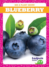 Blueberry - 9781636906942 by Charlie W. Sterling, 9781636906942