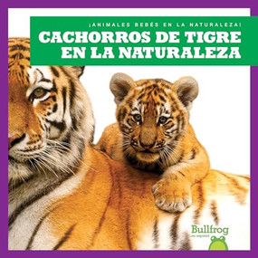 Cachorros de tigre en la naturaleza (Tiger Cubs in the Wild) (Spanish Edition) by Marie Brandle, 9798885242219