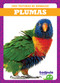 Plumas (Feathers) (Spanish Edition) by Jenna Lee Gleisner, 9798885242516