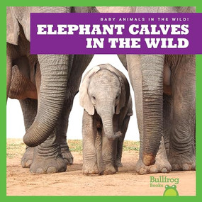 Elephant Calves in the Wild by Marie Brandle, 9798885240628