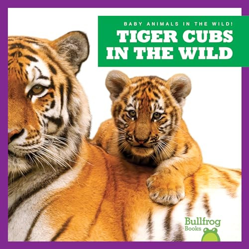 Tiger Cubs in the Wild by Marie Brandle, 9798885240802