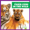 Tiger Cubs in the Wild by Marie Brandle, 9798885240802