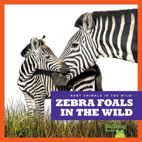 Zebra Foals in the Wild by Marie Brandle, 9798885240833