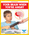 Your Brain When You're Angry by Abby Colich, 9798885241403