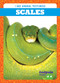 Scales - 9798885240444 by Jenna Lee Gleisner, 9798885240444