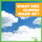What Are Clouds Made Of? by Rebecca Pettiford, 9798885240536