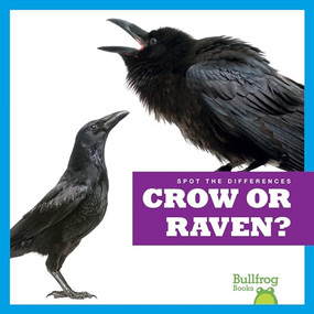 Crow or Raven? - 9798885241526 by Jamie Rice, 9798885241526