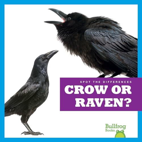 Crow or Raven? - 9798885241526 by Jamie Rice, 9798885241526