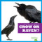 Crow or Raven? - 9798885241526 by Jamie Rice, 9798885241526