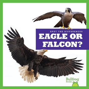 Eagle or Falcon? by Jamie Rice, 9798885241588