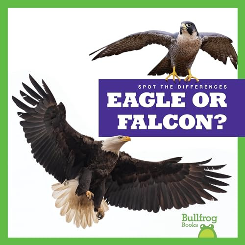 Eagle or Falcon? by Jamie Rice, 9798885241588