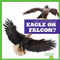 Eagle or Falcon? by Jamie Rice, 9798885241588