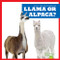 Llama or Alpaca? - 9798885241731 by Jamie Rice, 9798885241731