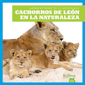 Cachorros de león en la naturaleza (Lion Cubs in the Wild) (Spanish Edition) - 9798885242196 by Marie Brandle, 9798885242196