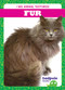 Fur - 9798885240420 by Jenna Lee Gleisner, 9798885240420