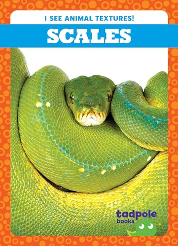 Scales - 9798885240451 by Jenna Lee Gleisner, 9798885240451