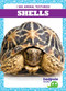 Shells - 9798885240482 by Jenna Lee Gleisner, 9798885240482