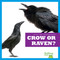 Crow or Raven? - 9798885241533 by Jamie Rice, 9798885241533