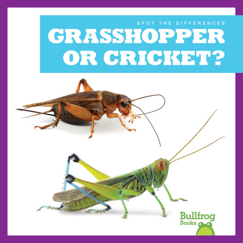 Grasshopper or Cricket? - 9798885241656 by Jamie Rice, 9798885241656