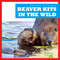 Beaver Kits in the Wild by Katie Chanez, N/A, 9798885244039