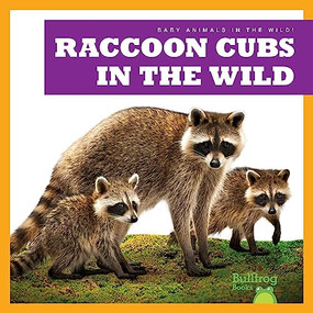 Raccoon Cubs in the Wild by Katie Chanez, 9798885244121