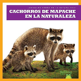 Cachorros de mapache en la naturaleza (Raccoon Cubs in the Wild) (Spanish Edition) by Katie Chanez, 9798885248471