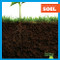 Soil - 9798885244459 by Rebecca Pettiford, 9798885244459