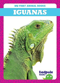 Iguanas - 9798885246644 by Natalie Deniston, 9798885246644