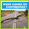 What Causes an Earthquake? by Megan Cooley Peterson, 9798885244879