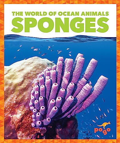 Sponges - 9798885245807 by Mari Schuh, 9798885245807