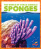 Sponges - 9798885245807 by Mari Schuh, 9798885245807