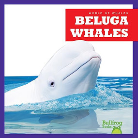 Beluga Whales - 9798885245869 by Katie Chanez, 9798885245869