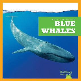 Blue Whales - 9798885245890 by Eliza Leahy, 9798885245890