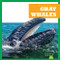 Gray Whales by Eliza Leahy, 9798885245920