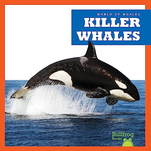 Killer Whales by Katie Chanez, 9798885245982