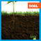 Soil - 9798885244466 by Rebecca Pettiford, N/A, 9798885244466