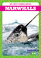 Narwhals - 9798885246743 by Genevieve Nilsen, 9798885246743