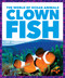 Clown Fish - 9798885245630 by Mari Schuh, N/A, 9798885245630