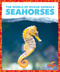 Seahorses - 9798885245753 by Mari Schuh, N/A, 9798885245753