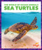 Sea Turtles - 9798885245784 by Mari Schuh, 9798885245784