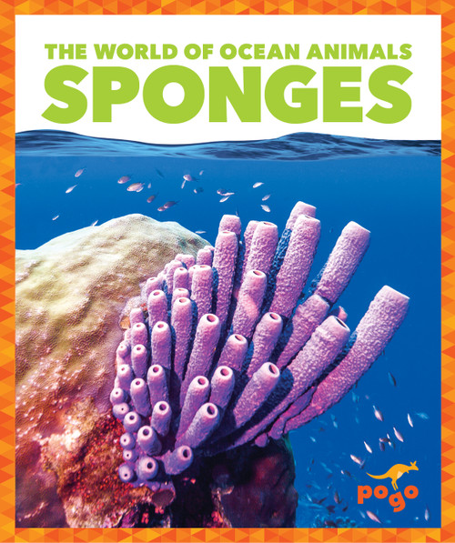 Sponges - 9798885245814 by Mari Schuh, N/A, 9798885245814