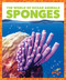 Sponges - 9798885245814 by Mari Schuh, N/A, 9798885245814