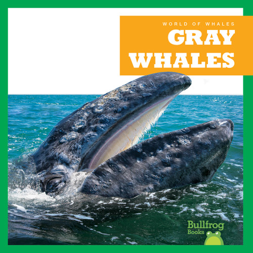 Gray Whales - 9798885245937 by Eliza Leahy, N/A, 9798885245937