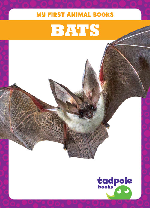 Bats - 9798885246538 by Natalie Deniston, 9798885246538